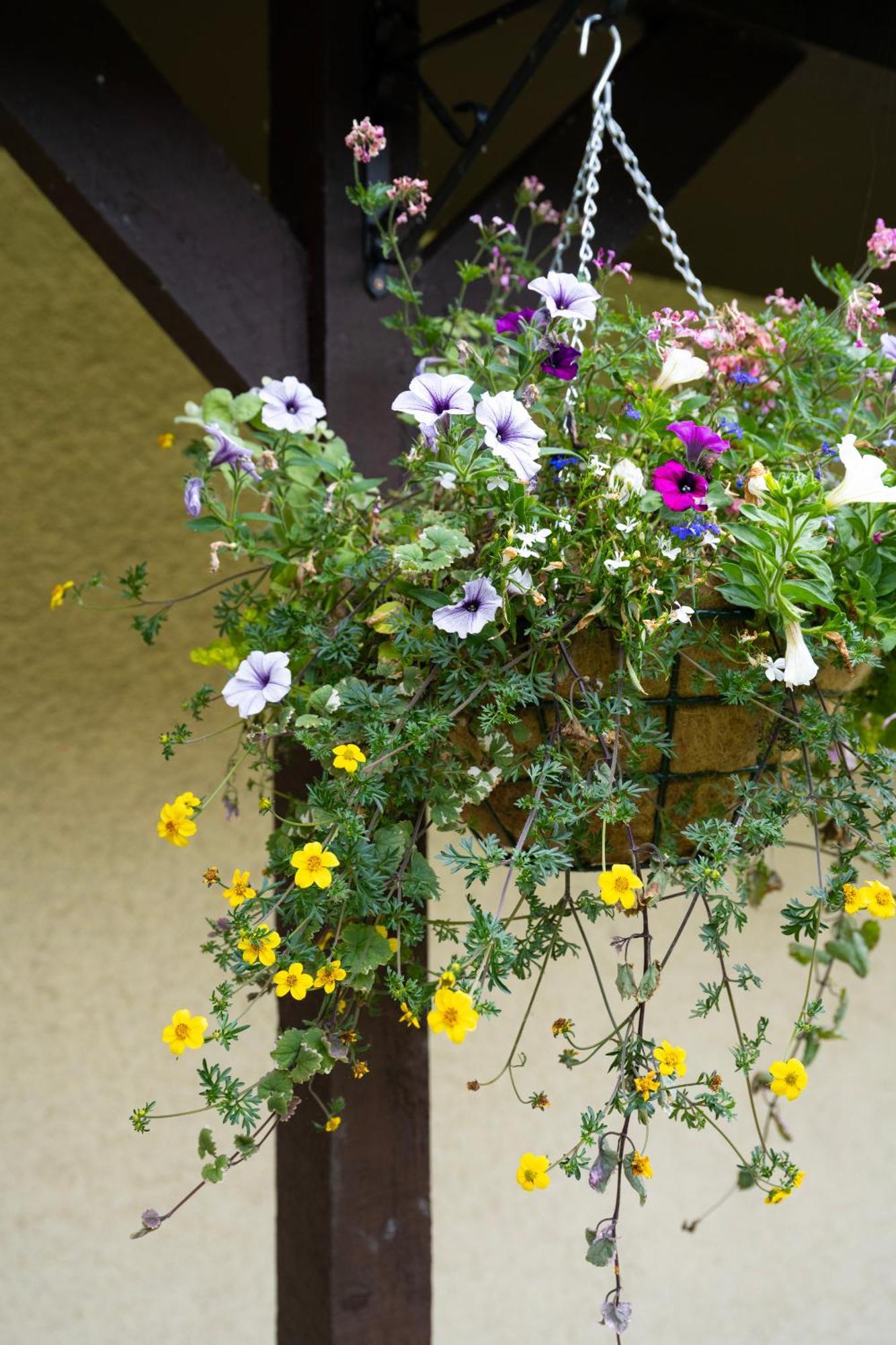 Cricklade House Hotel, Sure Hotel Collection By Best Western Exterior foto